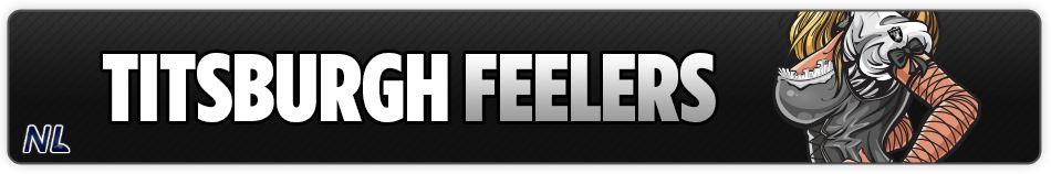 Titsburgh Feelers — Banner