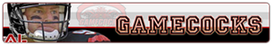 Gamecocks (2003–2009) — Gamecocks 2004 Banner