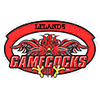 Gamecocks (2003–2009) — Gamecocks 2004 Icon