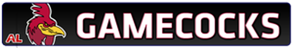 Gamecocks (2003–2009) — Gamecocks 2009 Banner