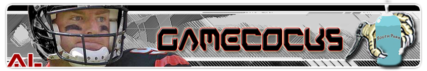 Gamecocks (2003–2009) — Gamecocks Banner