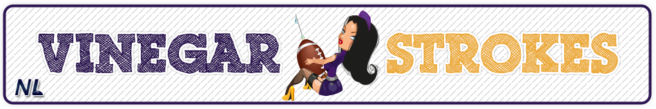 Vinegar Strokes (2013–2015) — Vinegar Strokes Banner
