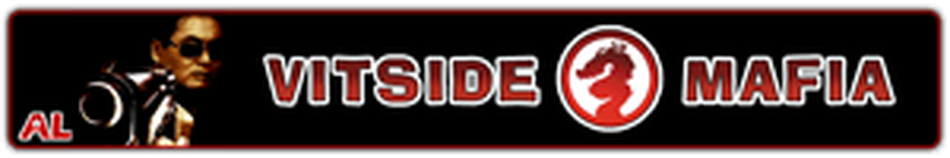 Vitside Mafia — Banner · 2010–2024