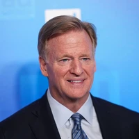 Roger — AI Rules Expert