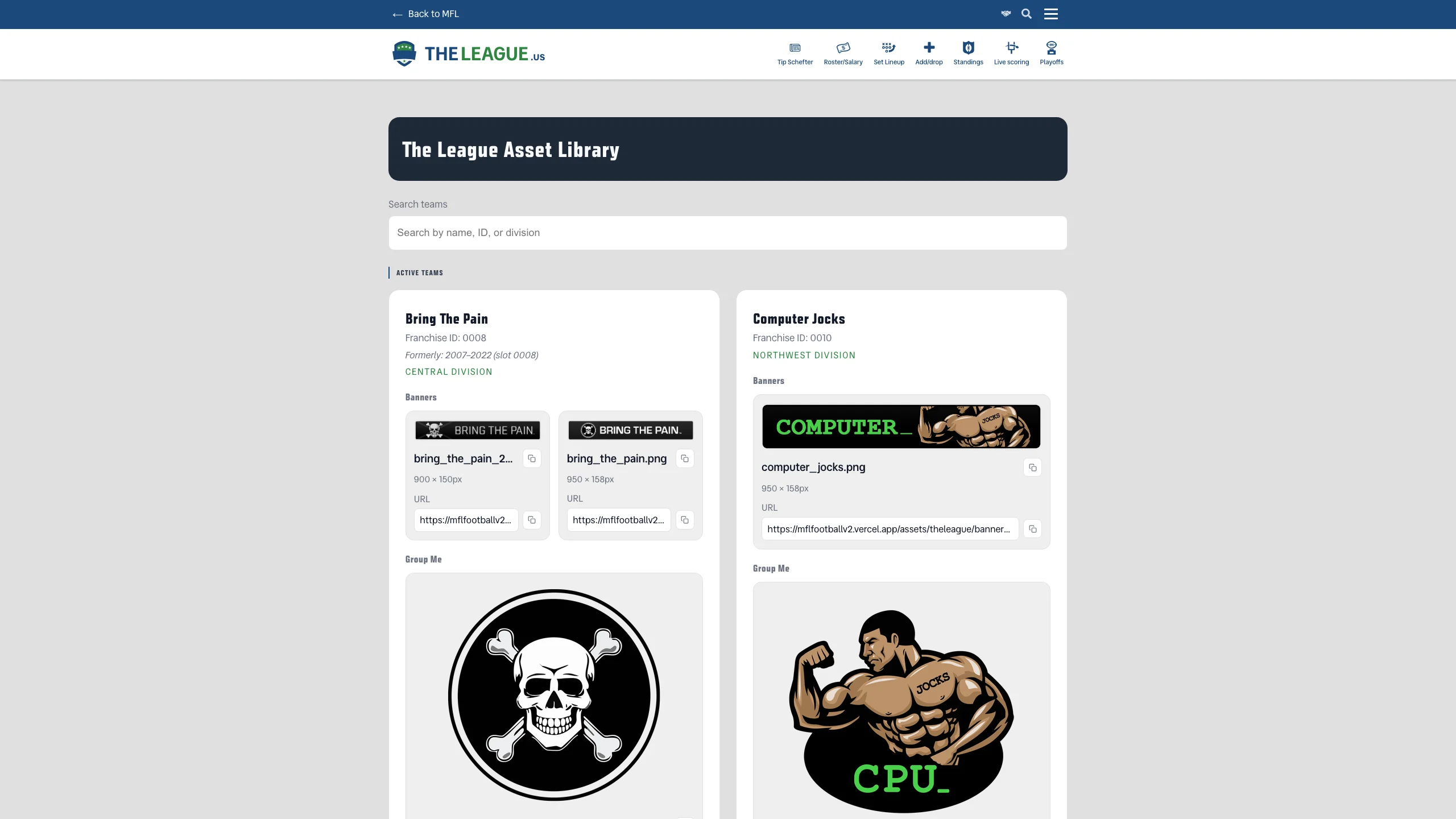 Asset Library gallery showing team logos, banners, and brand graphics